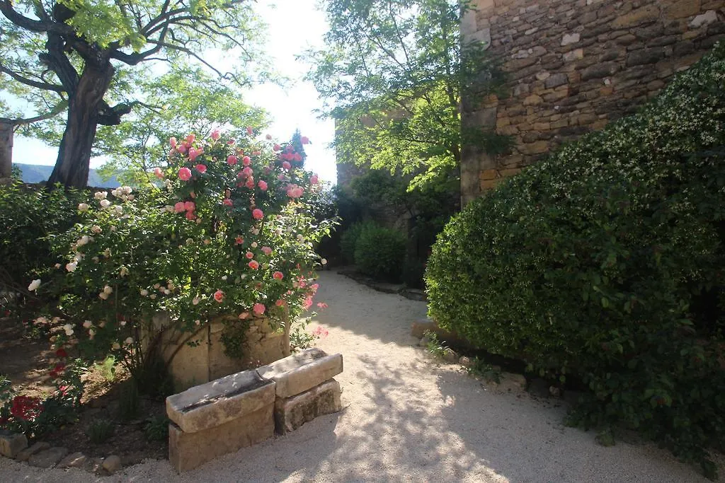 Villa Les Guillaume Rey Oppède Frankreich